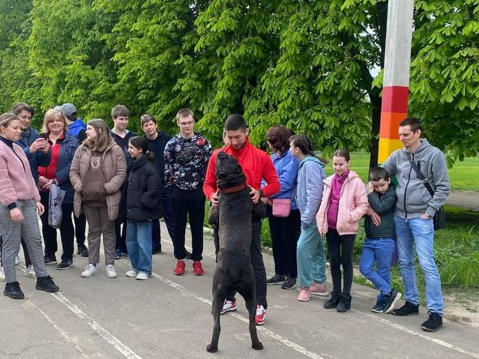В Харькове прошли показательные выступления собак